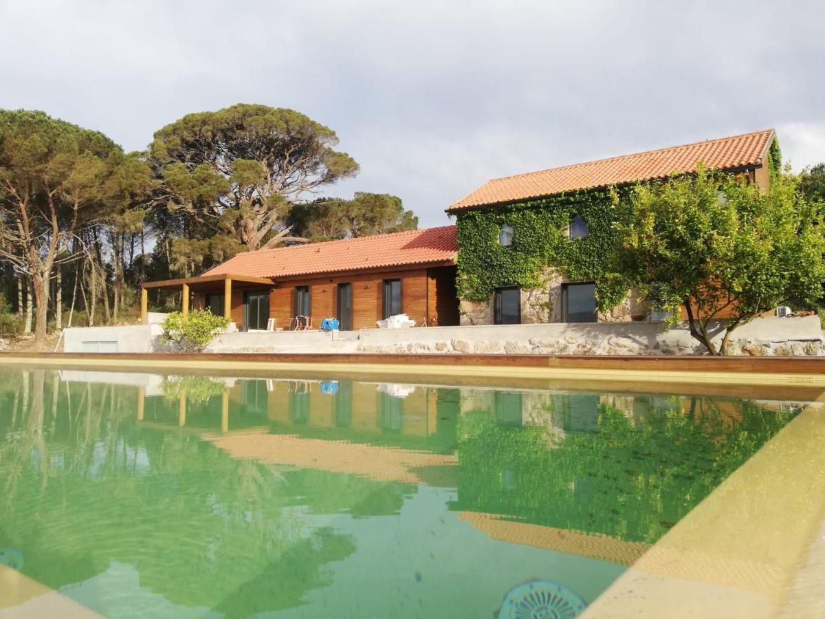 Willa Casas Do Pinheiro Grande Fornos de Algodres Zewnętrze zdjęcie