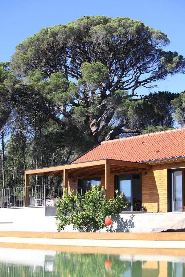 Willa Casas Do Pinheiro Grande Fornos de Algodres Zewnętrze zdjęcie